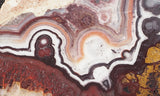 Mexican Crazy Lace Agate Rock Slab 403