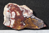 Mexican Crazy Lace Agate Rock Slab 403