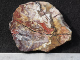 Mexican Crazy Lace Agate Rock Slab 401