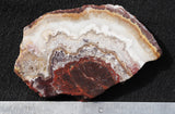 Mexican Crazy Lace Agate Rock Slab 405