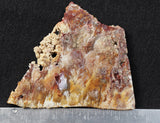 Bella Vista Agate Rock Slab 66