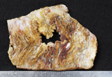 Bella Vista Agate Rock Slab 62