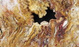 Bella Vista Agate Rock Slab 62