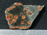 Peanut Obsidian Rock Slab 290
