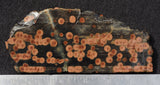 Peanut Obsidian Rock Slab 287