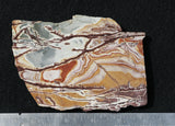 Sonoran Dendritic Rhyolite Rock Slab 50