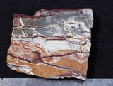 Sonoran Dendritic Rhyolite Rock Slab 490