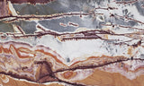 Sonoran Dendritic Rhyolite Rock Slab 490