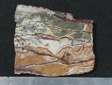 Sonoran Dendritic Rhyolite Rock Slab 48