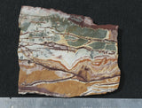 Sonoran Dendritic Rhyolite Rock Slab 48