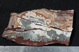 Sonoran Dendritic Rhyolite Rock Slab 472