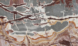Sonoran Dendritic Rhyolite Slab 17