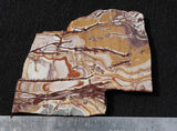 Sonoran Dendritic Rhyolite Rock slab 19