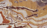 Sonoran Dendritic Rhyolite Slab 19