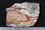 Sonoran Dendritic Rhyolite Rock Slab 478