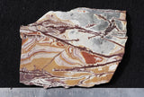 Sonoran Dendritic Rhyolite Rock Slab 478