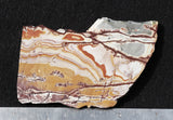 Sonoran Dendritic Rhyolite Rock Slab 464