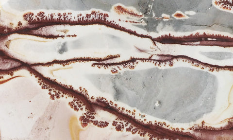 Sonoran Dendritic Rhyolite Rock Slab 464