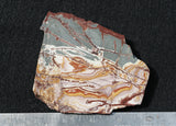 Sonoran Dendritic Rhyolite Rock Slab 465