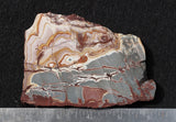 Sonoran Dendritic Rhyolite Rock Slab 452