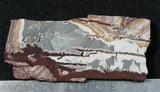 Sonoran Dendritic Rhyolite Rock Slab 470