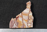 Sonoran Dendritic Rhyolite Rock Slab 468