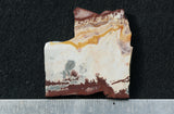 Sonoran Dendritic Rhyolite Rock Slab 466