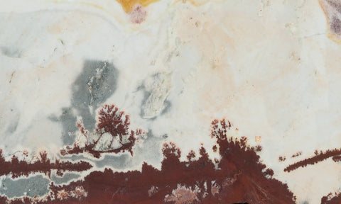 Sonoran Dendritic Rhyolite Rock Slab 466