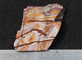 Sonoran Dendritic Rhyolite Rock Slab 467