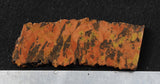 Tiger Tail Rock Slab 53