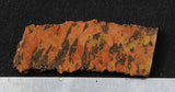 Tiger Tail Rock Slab 53