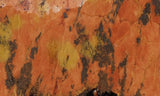 Tiger Tail Rock Slab 60