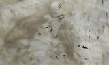 Ochoco Tube Agate 443