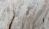 Ochoco Tube Agate 448