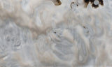 Ochoco Tube Agate 452