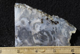 Ochoco Tube Agate 452