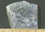 Ochoco Tube Agate 441