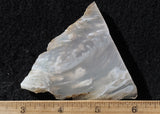 Bargain Bin F Slab 217