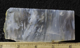 Ochoco Tube Agate 446