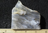 Ochoco Tube Agate 450