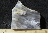 Ochoco Tube Agate 450