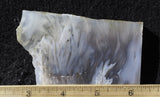 Ochoco Tube Agate 489