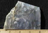 Ochoco Tube Agate 445