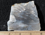 Ochoco Tube Agate 444
