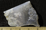Ochoco Tube Agate 442