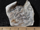 Ochoco Tube Agate 479