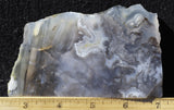 Ochoco Tube Agate 482