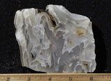 Ochoco Tube Agate 455