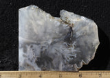 Ochoco Tube Agate 447