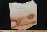 Willow Creek Jasper Rock  Slab 807